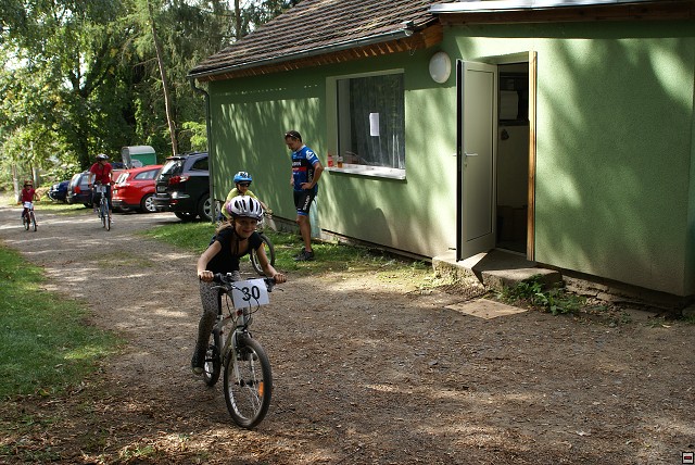 img00042.jpg
