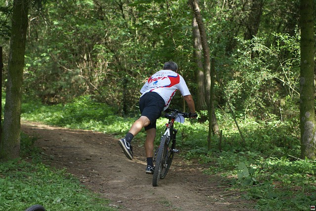 img00105.jpg
