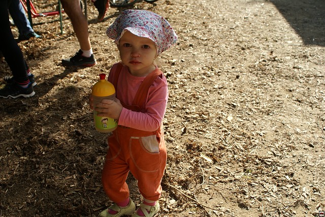 img00161.jpg