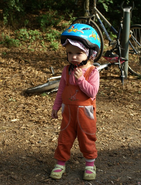 img00168.jpg